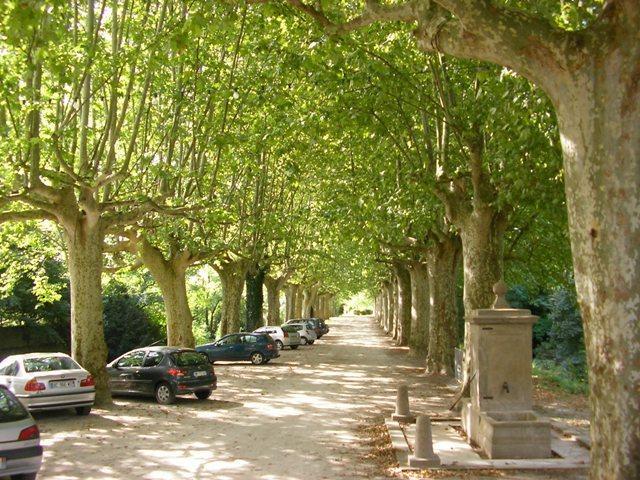 Chateau De Saint Michel De Lanes Exterior foto